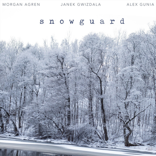 Snowguard album cover