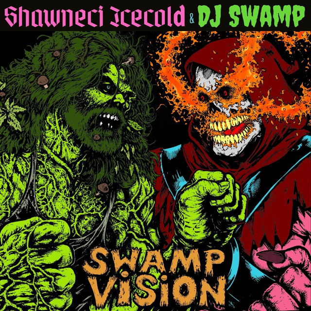 Swamp Vision album cover