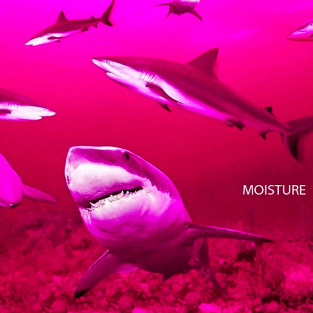 Moisture album cover