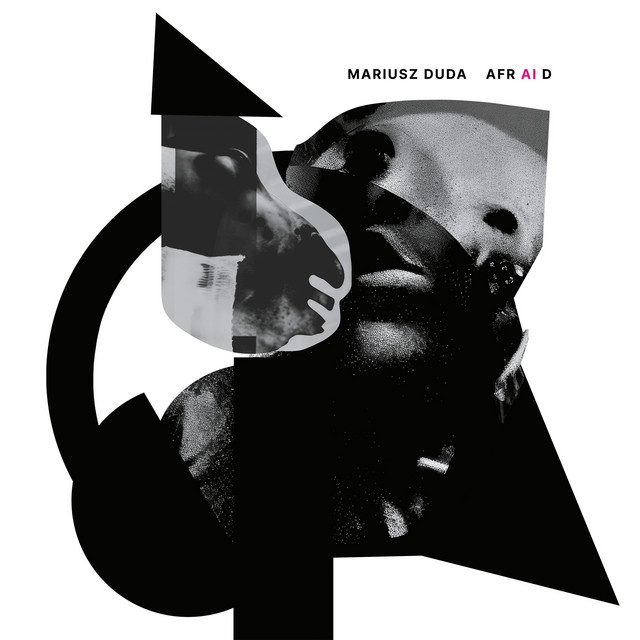 AFR AI D album cover