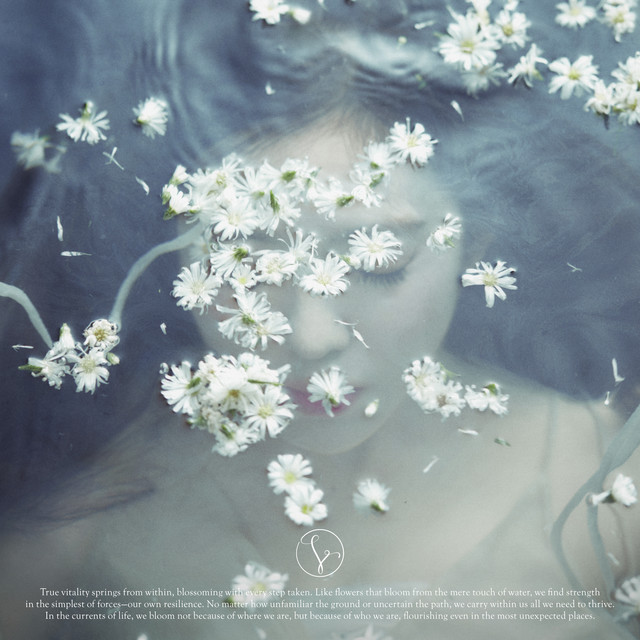 Like A Flower - The 1st Mini Album album cover