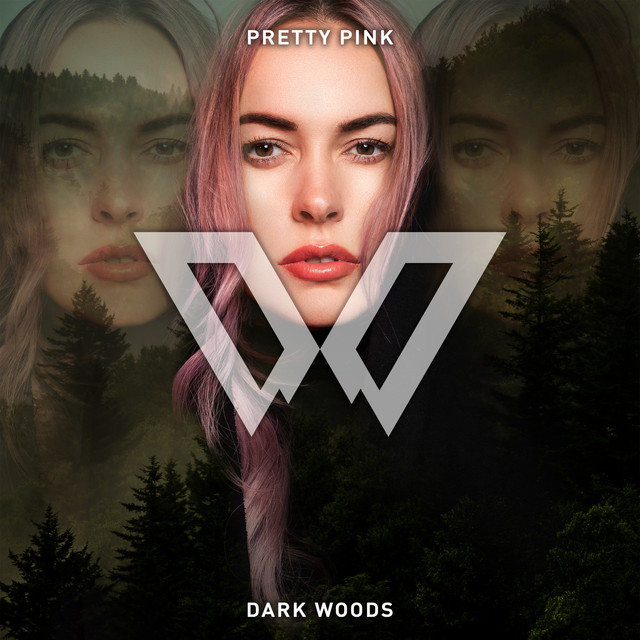 Dark Woods album cover