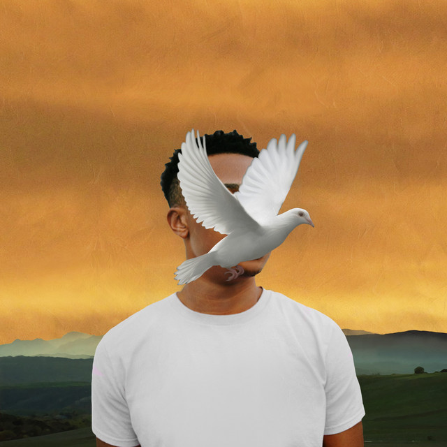Veil album cover
