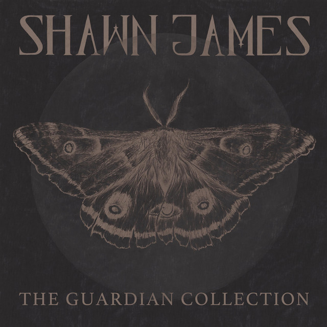 The Guardian Collection album cover