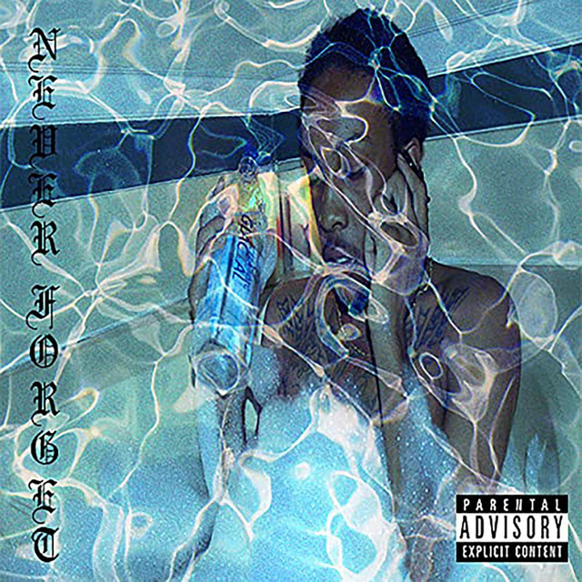 Never Forget album cover