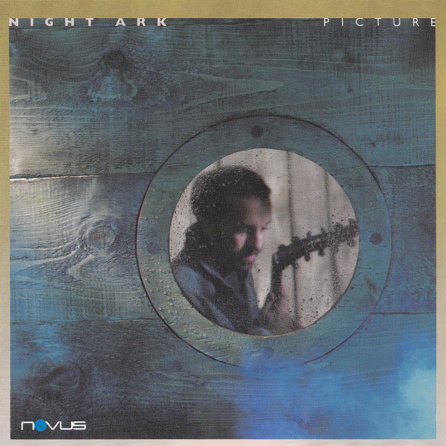 Picture album cover