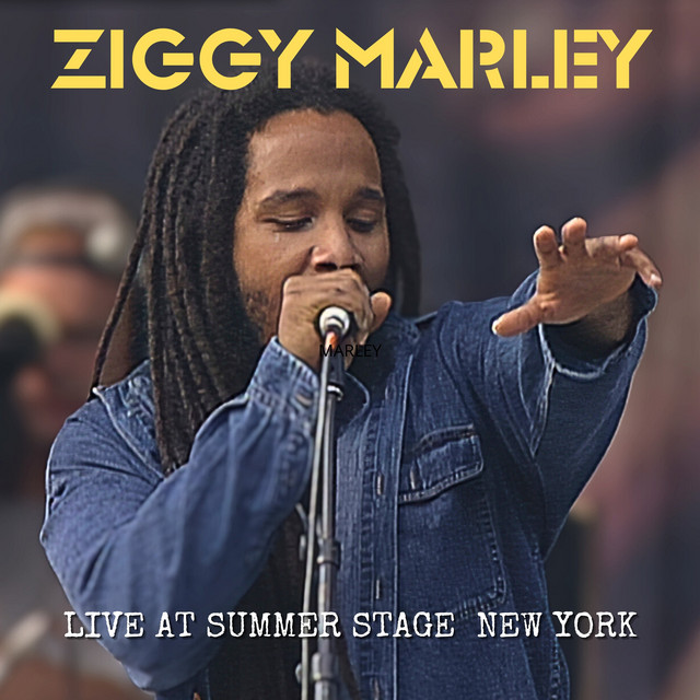 Ziggy Marley Live At Summer Stage New York album cover