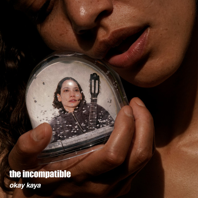 The Incompatible Okay Kaya album cover