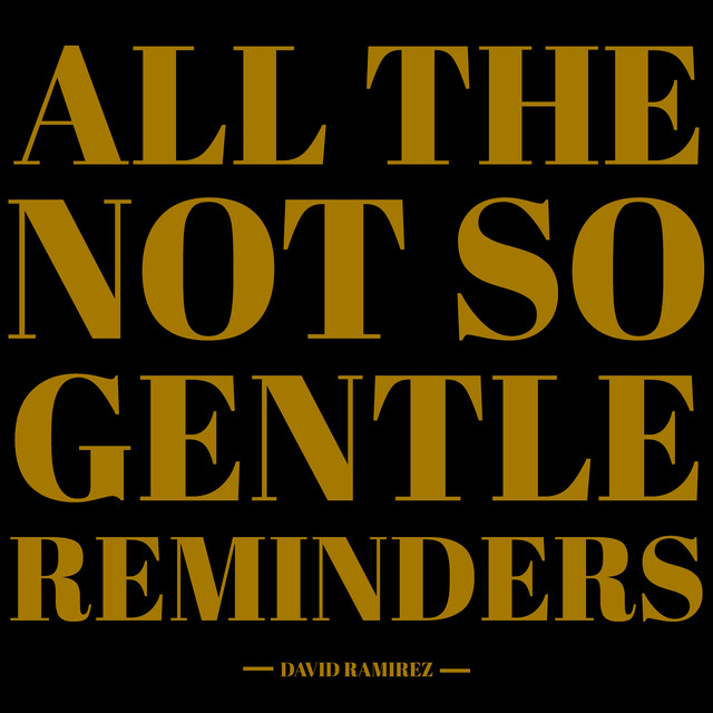 All The Not So Gentle Reminders album cover