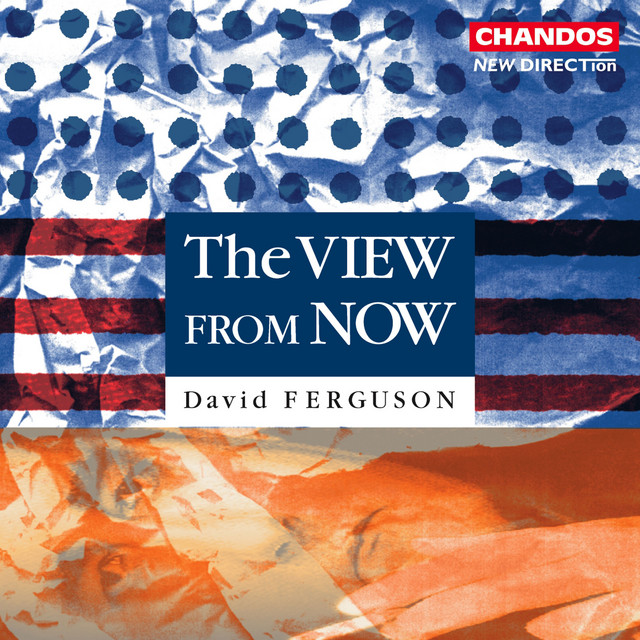 Ferguson: The View from Now album cover