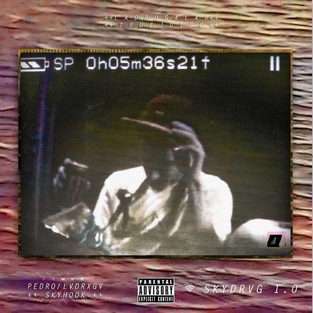 Skydrvg 1.0 album cover