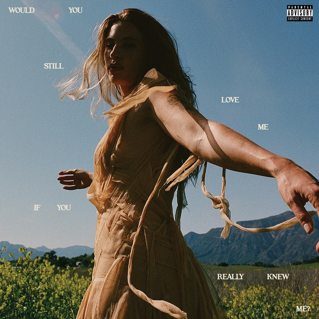 Would You Still Love Me If You Really Knew Me? album cover