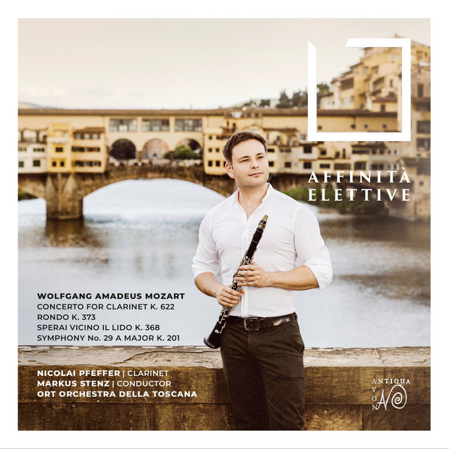 Affinità Elettive album cover