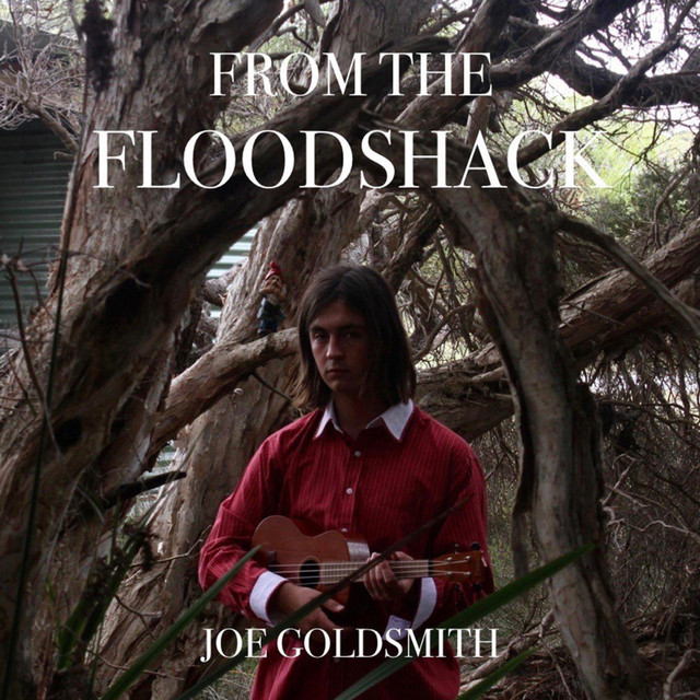 From the Floodshack album cover