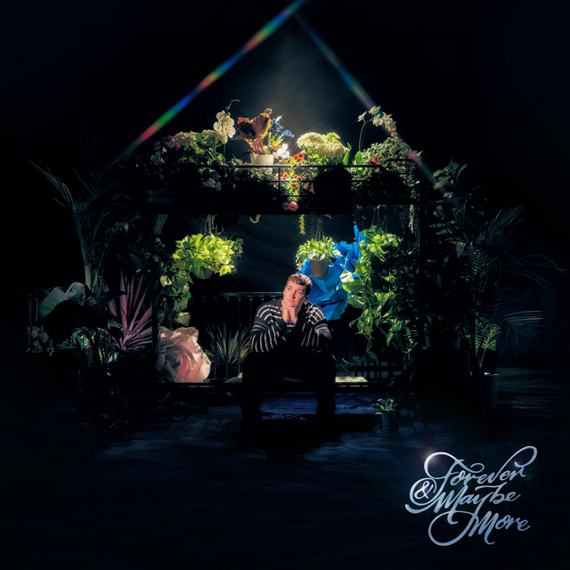 Forever & Maybe More album cover