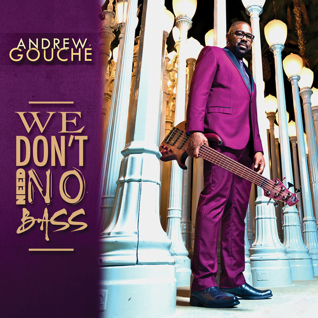 We Don't Need No Bass album cover