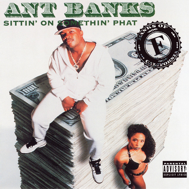 Sittin' On Somethin' Phat album cover