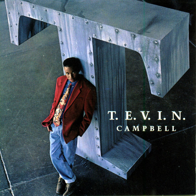 T.E.V.I.N. album cover