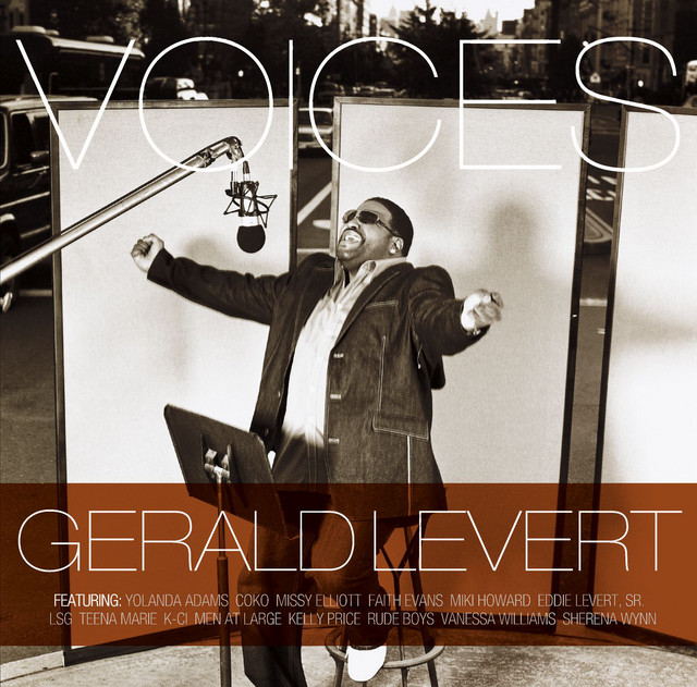 Voices album cover