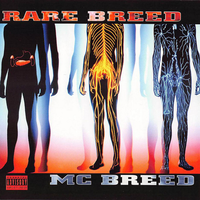 Rare Breed album cover