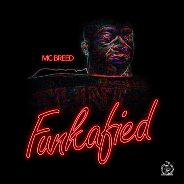 Funkafied album cover