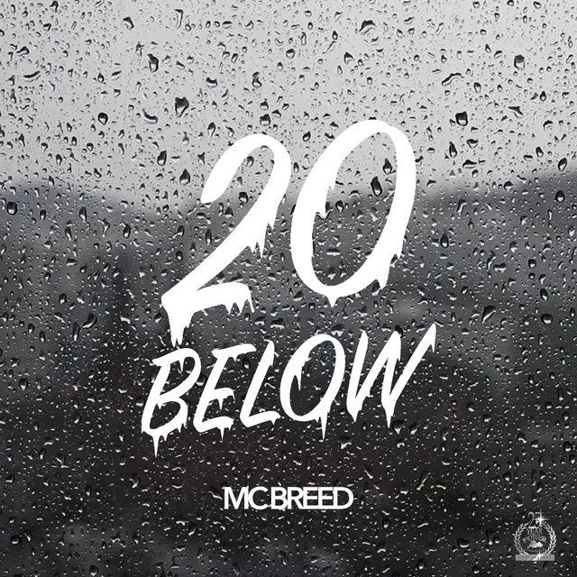20 Below album cover
