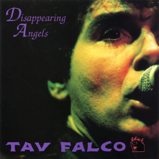 Disappearing Angels album cover