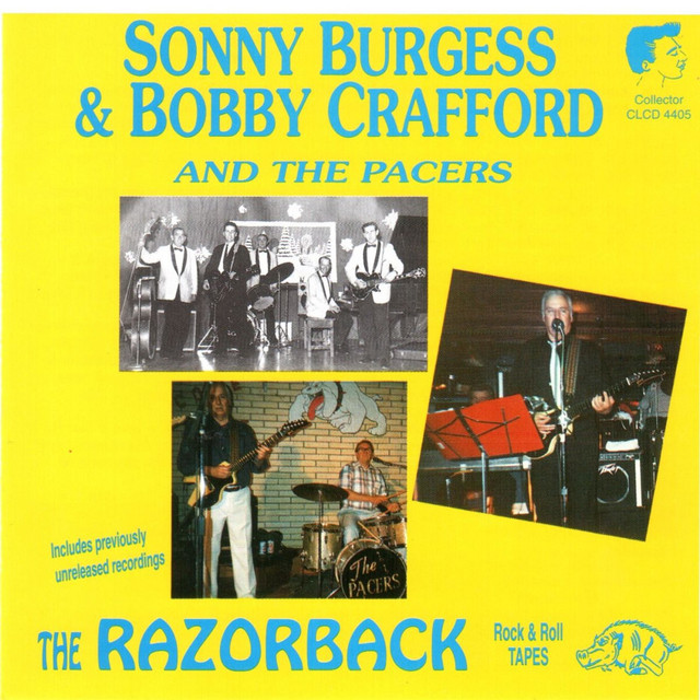 The Razorback album cover