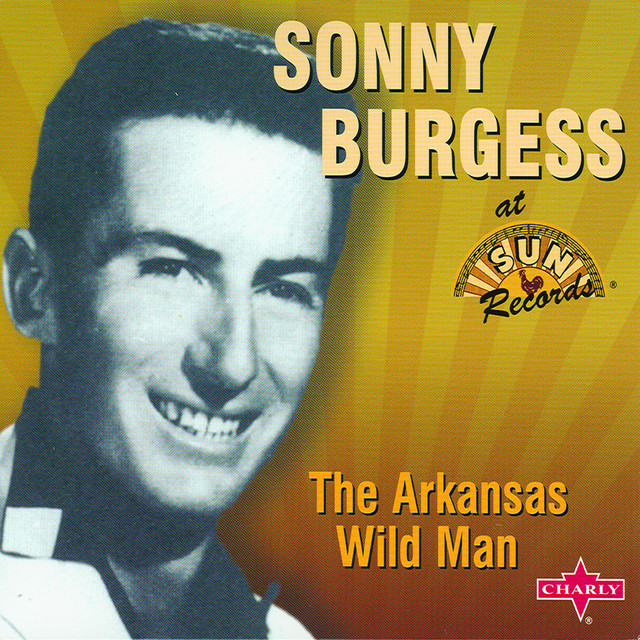 The Arkansas Wild Man album cover