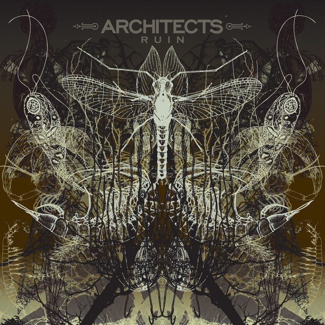 Ruin album cover