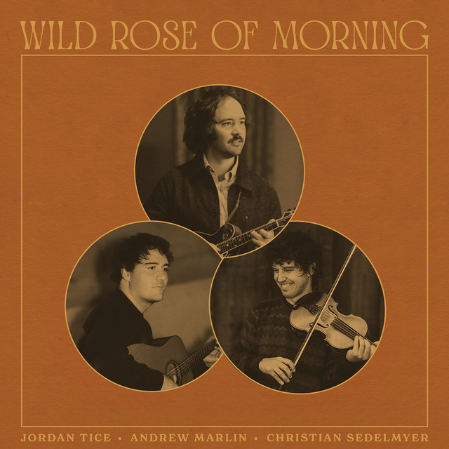 Wild Rose of Morning album cover