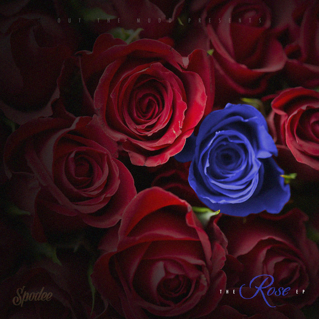 The R.O.S.E. album cover