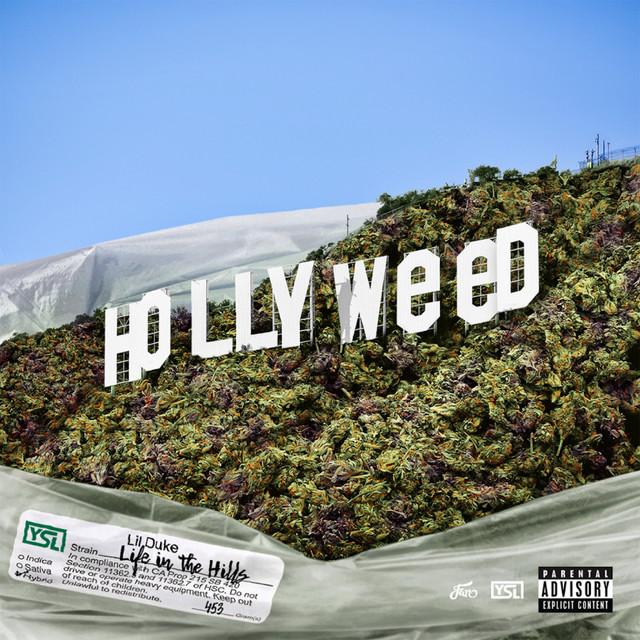 Life in the Hills album cover