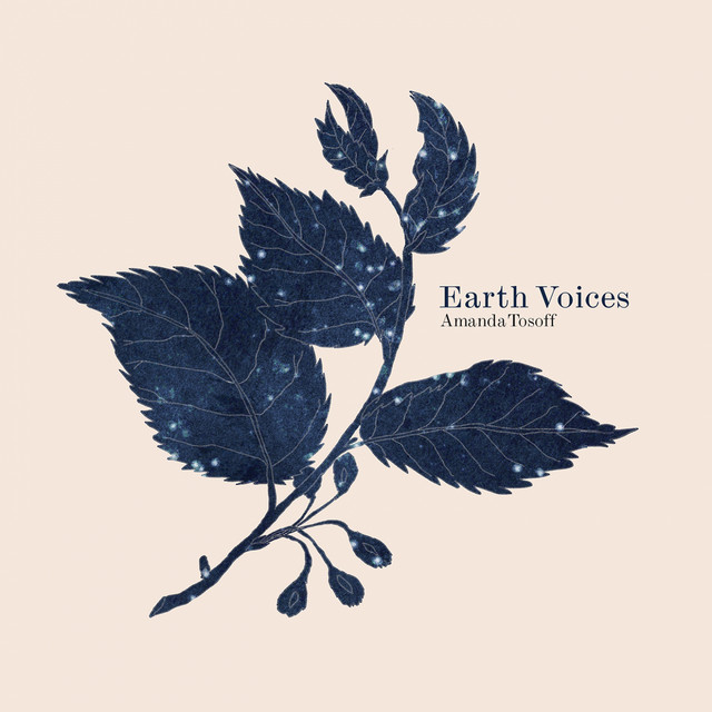 Earth Voices album cover