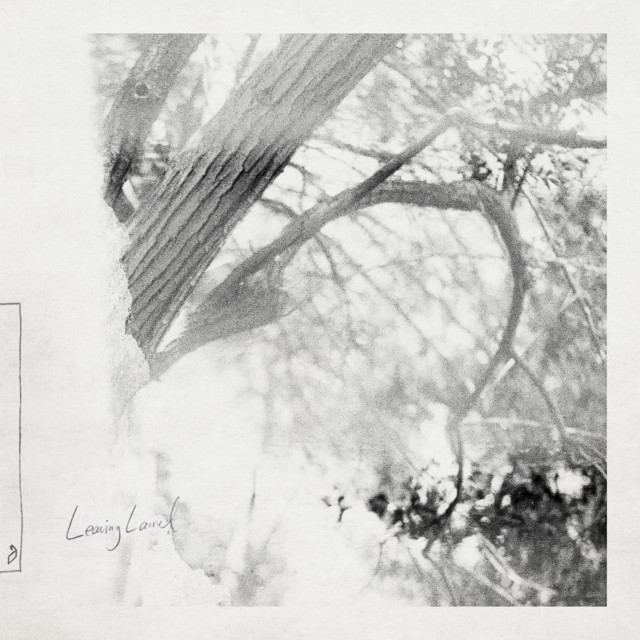 Leaving Laurel album cover