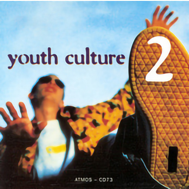 Youth Culture 2 album cover