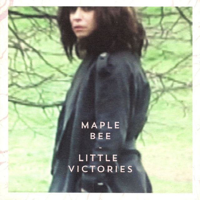 Little Victories album cover