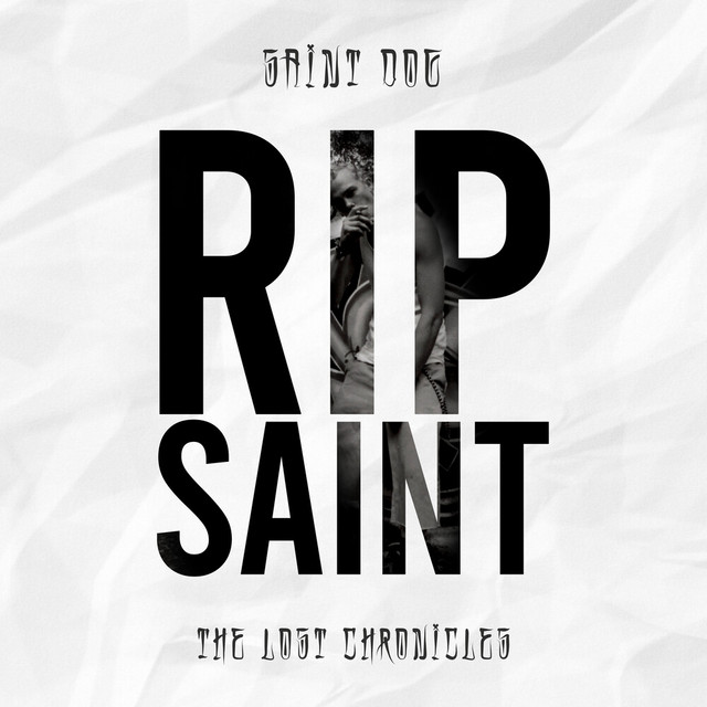 RIP Saint: The Lost Chronicles album cover