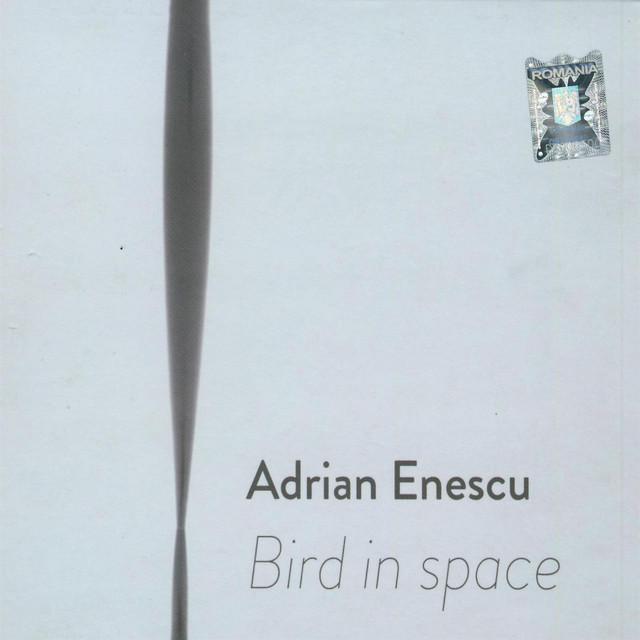 Bird in space album cover