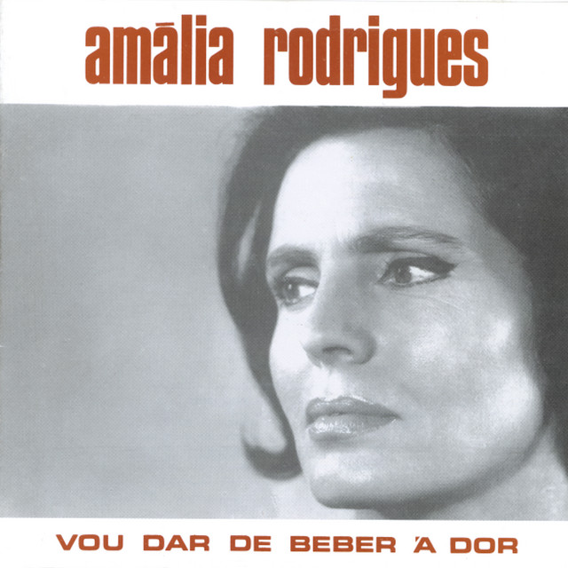 Vou dar de beber à dor album cover