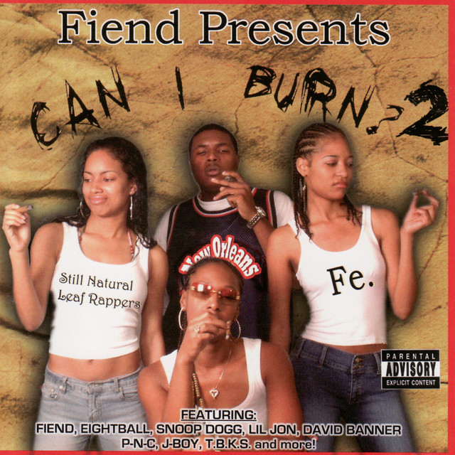 Can I Burn? 2 album cover