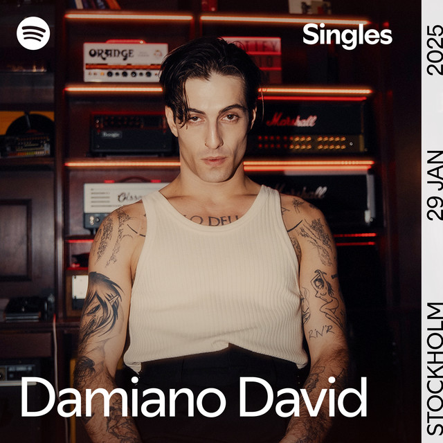 Sennheiser MD 441-U as heard on Nothing Breaks Like a Heart - Spotify Singles by Damiano David (2025)