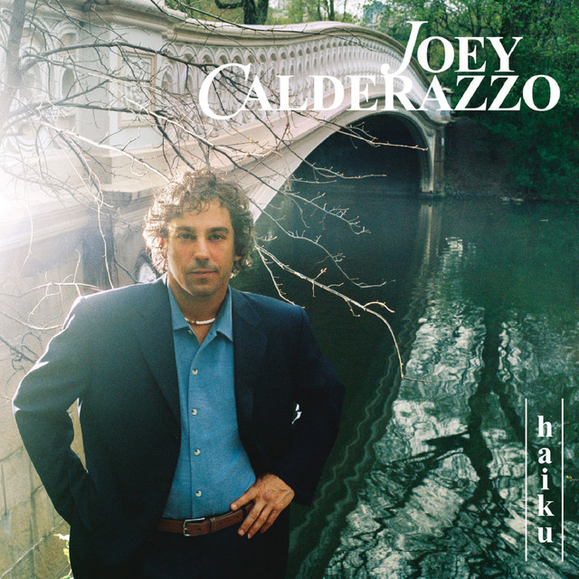 Haiku album cover