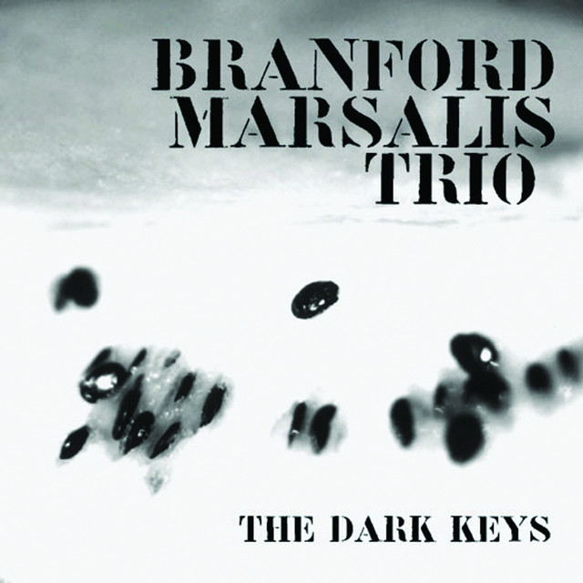 The Dark Keys album cover