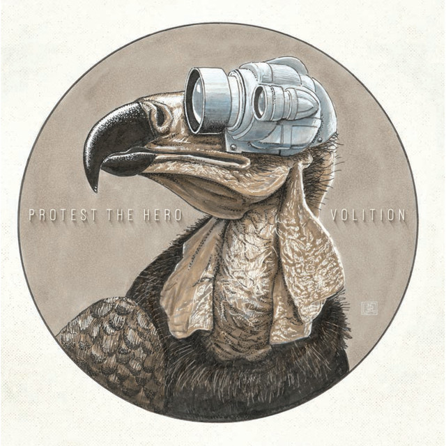 Volition album cover