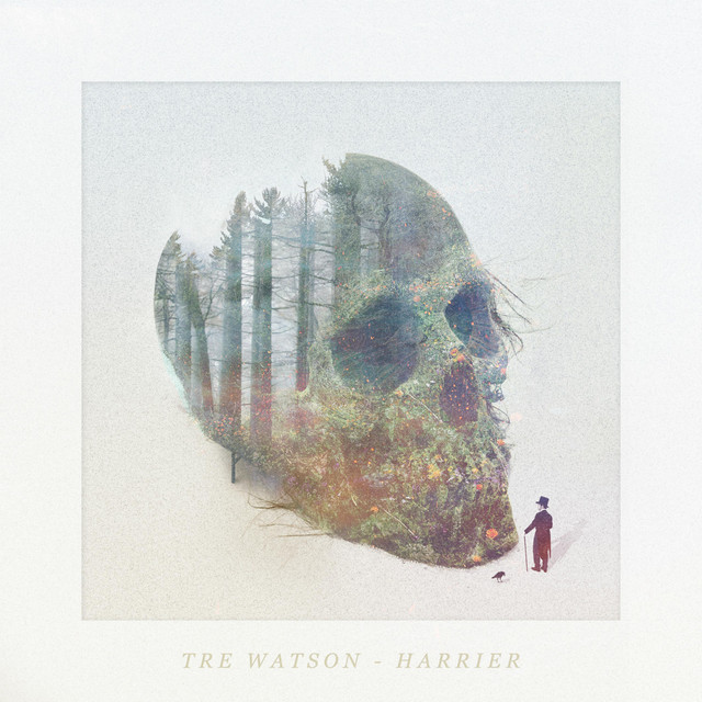 Harrier album cover