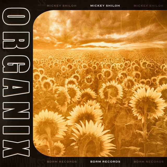 Organix album cover