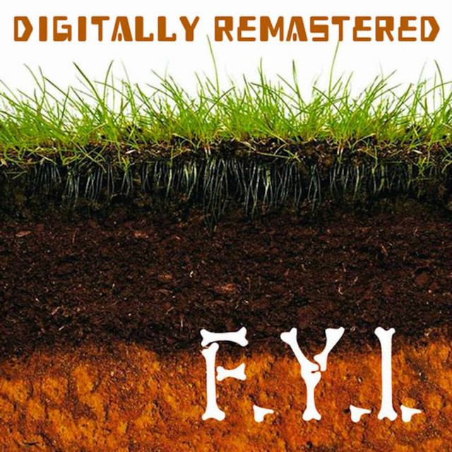F.Y.I. album cover