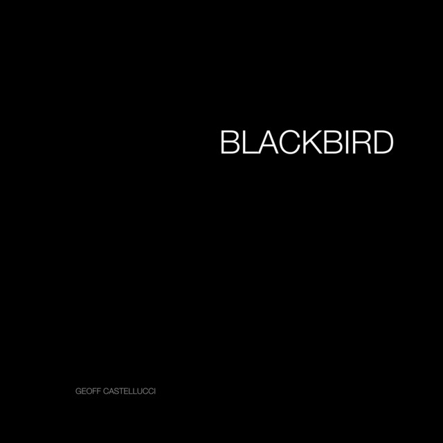 M-Audio Keystation Pro 88 Controller Keyboard as heard on Blackbird by Geoff Castellucci (2020)