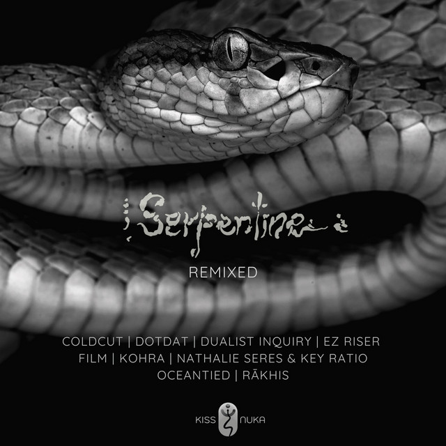 Serpentine Remixed album cover
